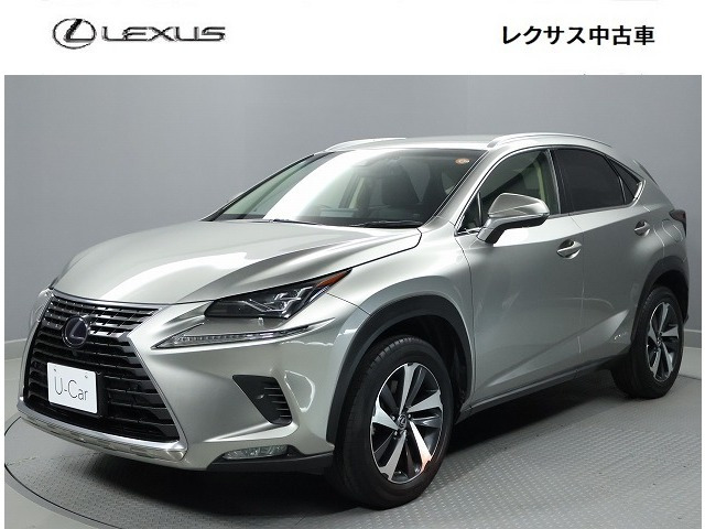 NX 300h Iパッケージ 