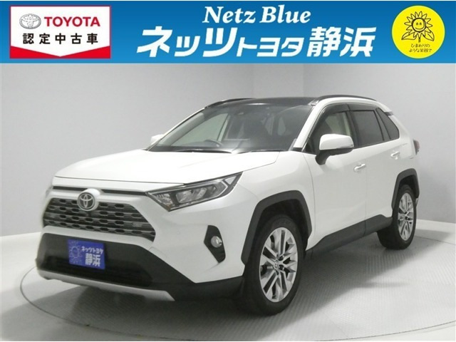 RAV4  2.0 G Zパッケージ 4WD