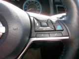 プロパイロット付きです。高速道路での長距離運転がとてもらくで、運転が楽しくなります。