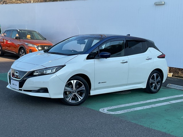 リーフ  X Vセレクション