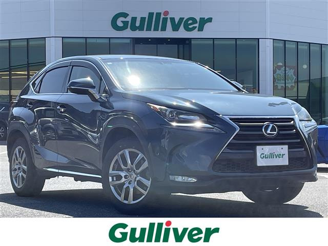 NX300h修復歴無し