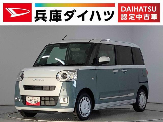 ムーヴキャンバス  ストライプス G