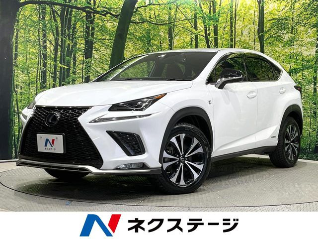 NX 300h Fスポーツ 
