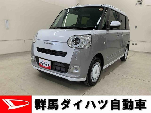 ムーヴキャンバス  ストライプス G