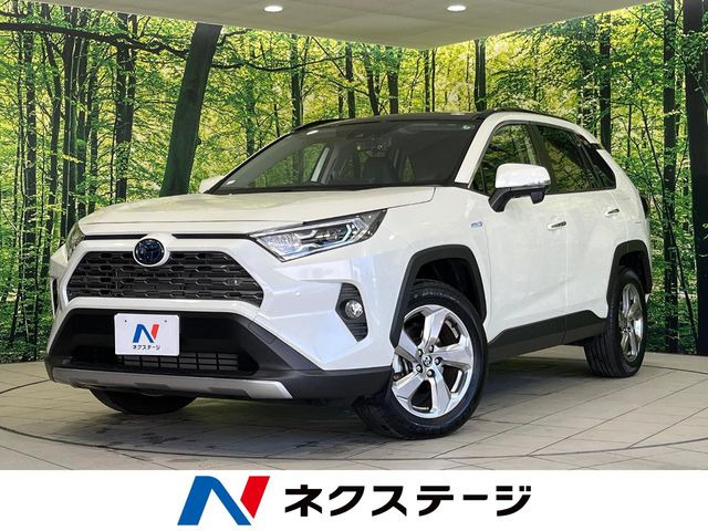 RAV4 2.5 ハイブリッド G E-Four 4WD （6AA-AXAH54）