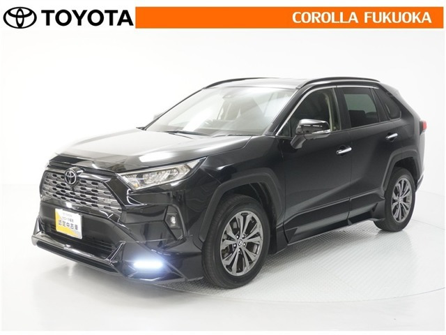 RAV4 2.0 G 4WD（6BA-MXAA54）