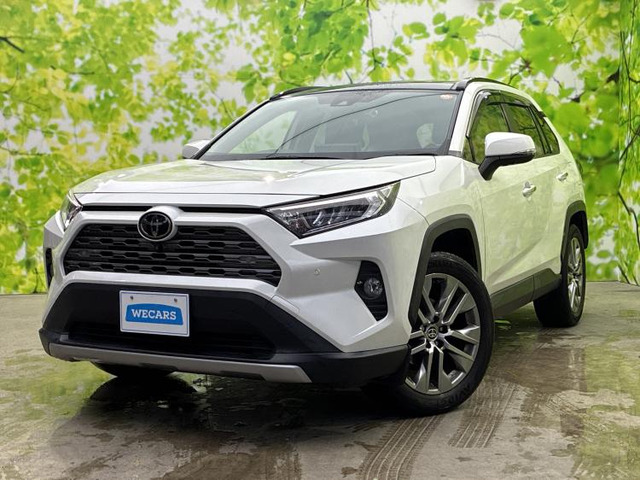 RAV4 2.0 G Zパッケージ 4WD 