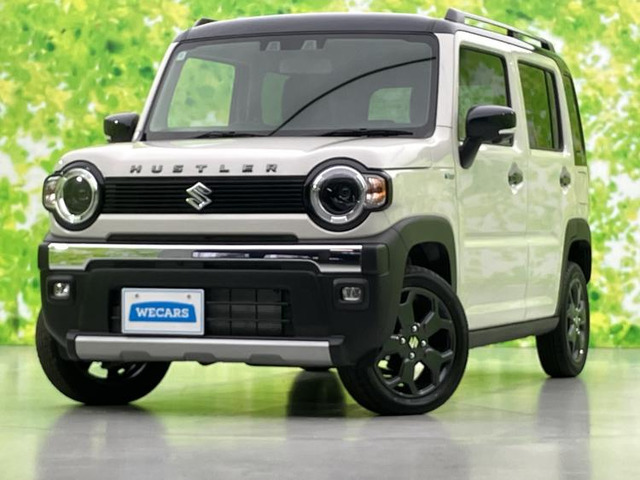 ハスラー タフワイルド 