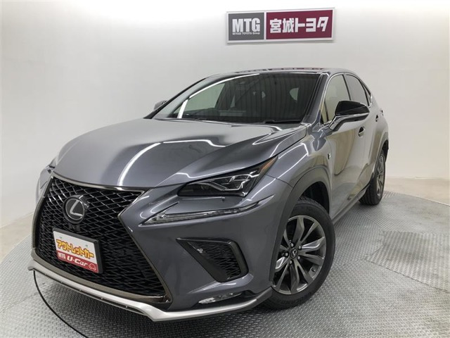 NX 300 Fスポーツ 4WD 