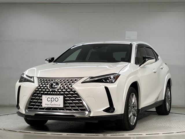 UX 250h グレイスフル エクスプローラー 