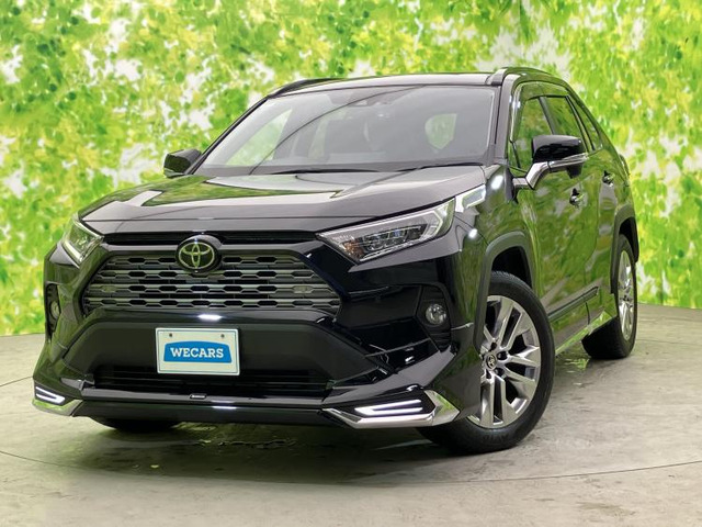 RAV4 2.0 G Zパッケージ 4WD （6BA-MXAA54）