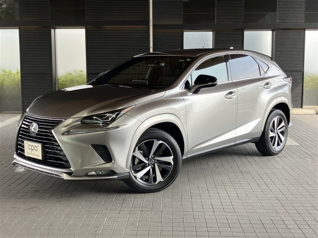 NX 300 スパイス&シック