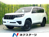 禁煙車 BIGX9型ナビ バックモニター サンルーフ 7人乗り ETC