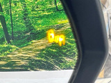 【ブラインドスポットモニター】走行中、ドアミラーの死角になりやすい箇所に後続車が接近するとサイドミラーのレンズに警告を表示!ドライバーに注意喚起をしてくれます。