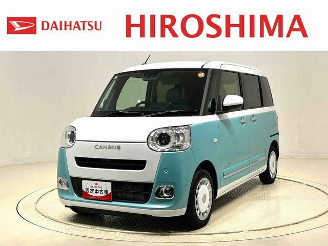 ムーヴキャンバス  ストライプス G