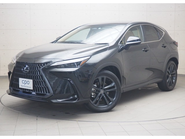 NX 250 バージョンL NX 250 バージョンL（5BA-AAZA20）