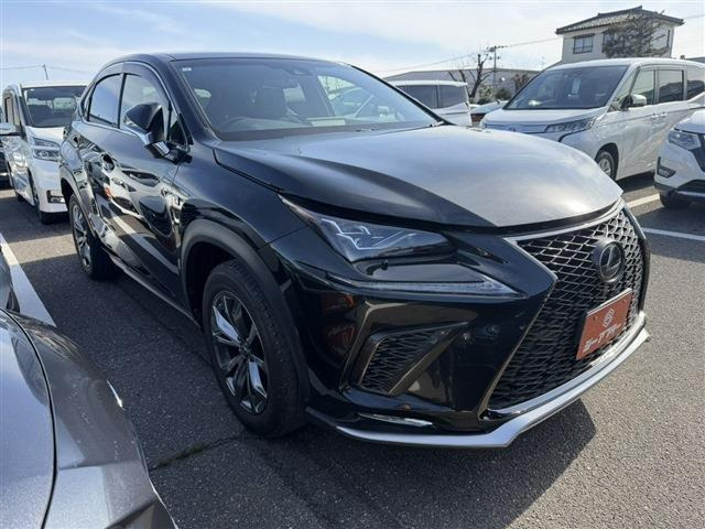 NX 300 Fスポーツ 禁煙車 純正10.3インチナビ 全周囲カメラ（DBA-AGZ10）