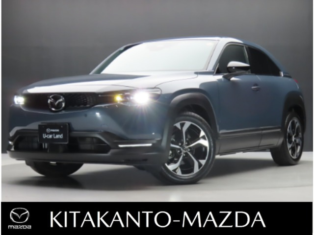 MX-30 2.0 ナチュラル モノトーン 