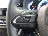 ステアリングスイッチ付き。前方から目を離すことなく操作することが可能です。