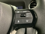 クルーズコントロールを装備しています。高速道路などで一定の速度で走ってくれるので運転が楽ですよ!速度を設定できますので、スピードの出しすぎにも注意できます。