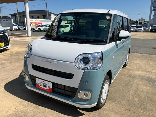 ムーヴキャンバス  ストライプス G