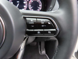 前車追従機能付きのレーダークルーズを備えています。自動で車間距離を調整してくれますので、アクセル操作の疲労軽減に繋がります。特に長距離を帰省される方にはお奨めですよ。