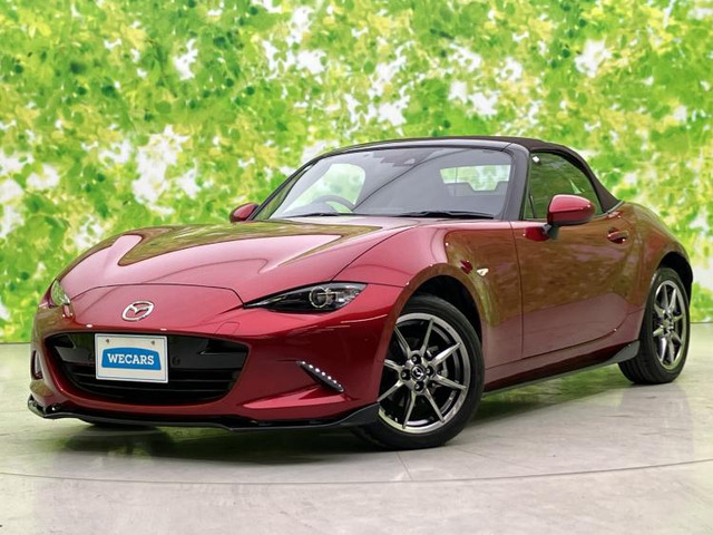 ロードスター 1.5 ブラウン トップ