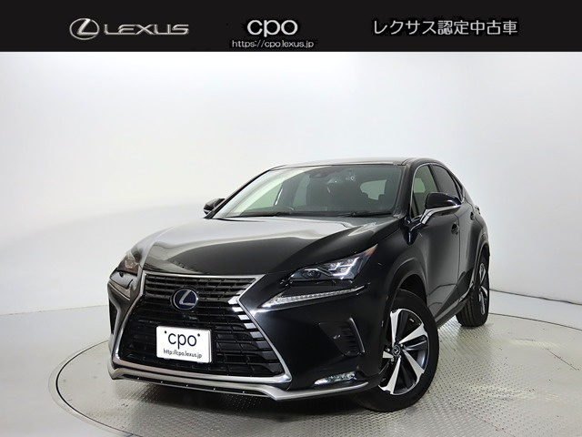 NX 300h スパイス&シック（6AA-AYZ10）