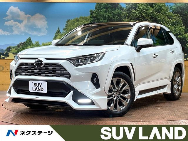 RAV4 2.0 G Zパッケージ 4WD （6BA-MXAA54）