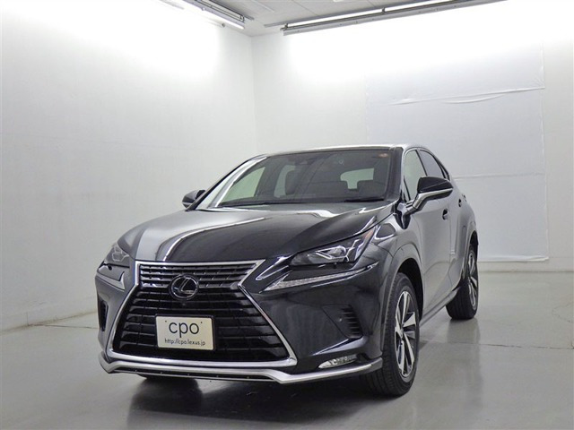 NX 300 スパイス&シック（3BA-AGZ10）