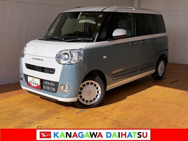 ムーヴキャンバス  ストライプス G