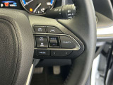 前方の車との車間を設定し、スピードを上げたり緩めたりを自動で行ってくれる追尾式の「レーダークルーズ」。上級装備の一つです!高級車にしかつかない嬉しい機能です。