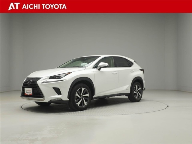 NX 300h Iパッケージ 