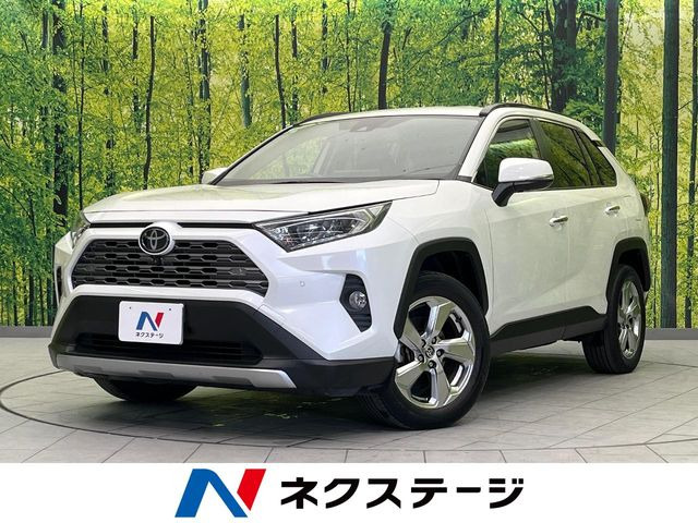RAV4 2.0 G 4WD