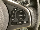 クルーズコントロールを装備しています。高速道路などで一定の速度で走ってくれるので運転が楽ですよ!速度を設定できますので、スピードの出しすぎにも注意できます。
