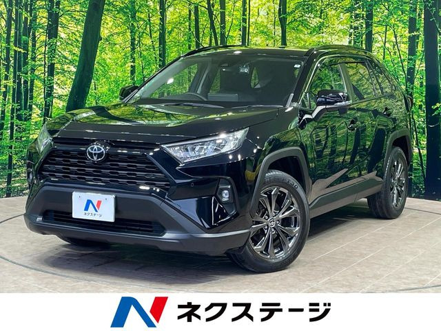 RAV4 2.0 X （6BA-MXAA52）