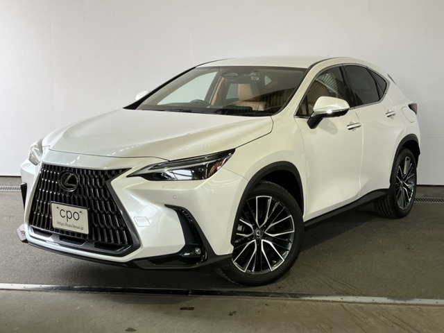 NX 350h バージョンL （6AA-AAZH20）