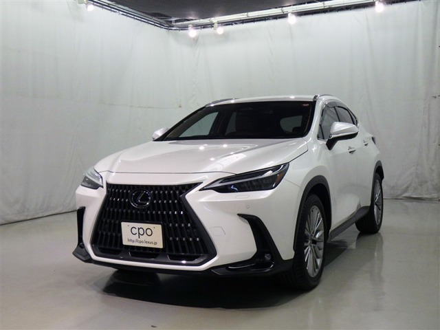 NX 250 バージョンL NX 250 バージョンL（5BA-AAZA20）