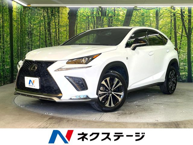 NX 300 Fスポーツ （DBA-AGZ10）