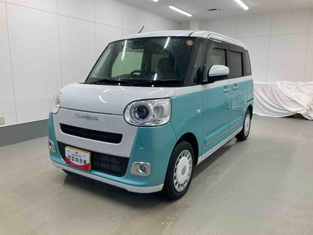 ムーヴキャンバス  ストライプス G