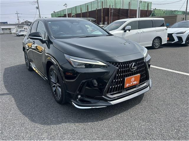 NX 350h バージョンL （6AA-AAZH20）