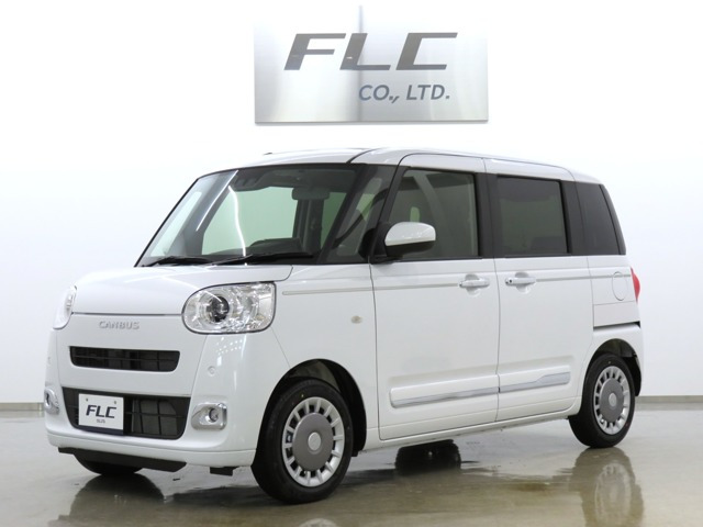 ムーヴキャンバス  セオリー G