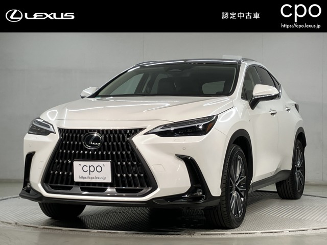 NX 350h バージョンL （6AA-AAZH20）