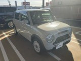 弊社規定により愛知にお住いの方へ販売に限らせて頂きます。