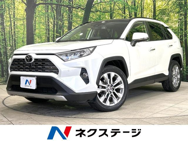 RAV4 2.0 G Zパッケージ 4WD 