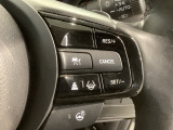 クルーズコントロールを装備しています。高速道路などで一定の速度で走ってくれるので運転が楽ですよ!速度を設定できますので、スピードの出しすぎにも注意できます。