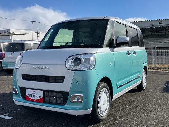 ムーヴキャンバス  ストライプス G