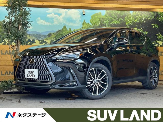 NX 350h バージョンL （6AA-AAZH20）