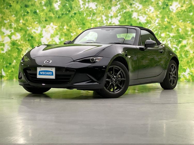 ロードスター 1.5 S スペシャルパッケージ