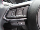 ハンドル左側にオーディオスイッチを装備しています。Bluetooth機能もございますので、ご自身のスマホとペアリングしてご使用ください。